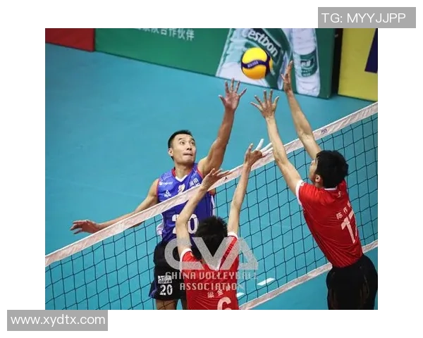 杨娜独家分享排球心得与技巧助你提升竞技水平和团队合作能力