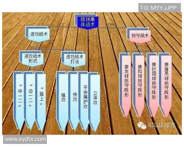 杭州排球队防反策略分析与战术得失评估